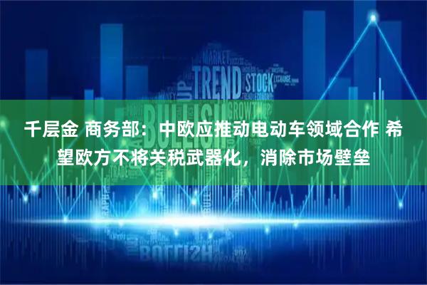 千层金 商务部：中欧应推动电动车领域合作 希望欧方不将关税武器化，消除市场壁垒