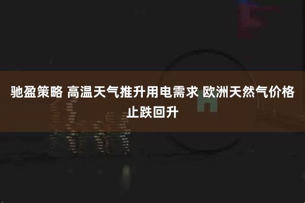 驰盈策略 高温天气推升用电需求 欧洲天然气价格止跌回升