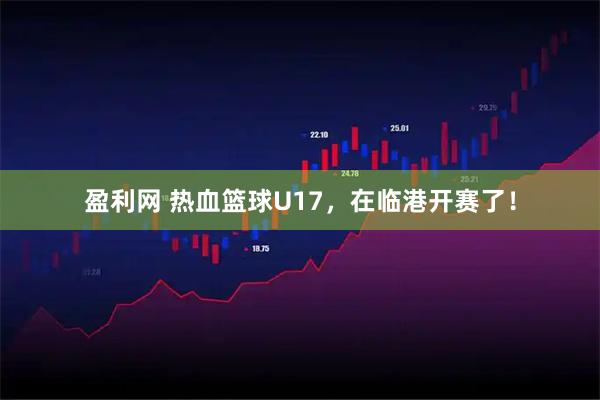 盈利网 热血篮球U17，在临港开赛了！