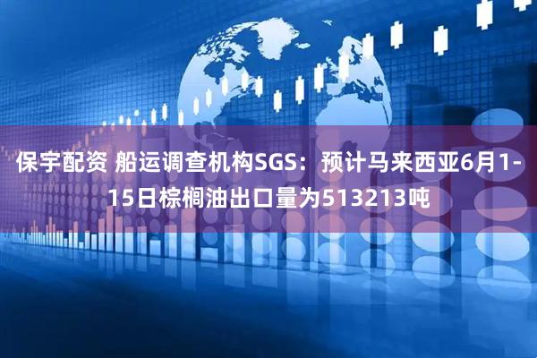 保宇配资 船运调查机构SGS：预计马来西亚6月1-15日棕榈油出口量为513213吨