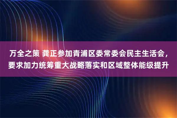 万全之策 龚正参加青浦区委常委会民主生活会，要求加力统筹重大战略落实和区域整体能级提升