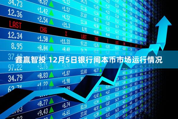 鑫赢智投 12月5日银行间本币市场运行情况