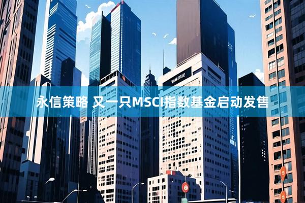 永信策略 又一只MSCI指数基金启动发售